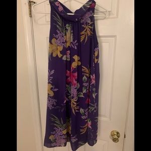 New York & Company Eva Mendes Dress